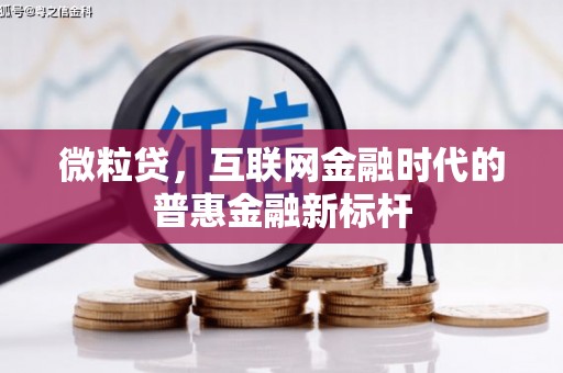 卧龙微粒贷，互联网金融时代的普惠金融新标杆