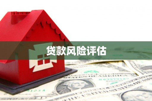 枞阳贷款风险评估