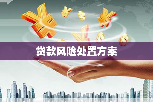 临县贷款风险处置方案
