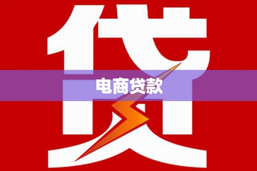 天元电商贷款