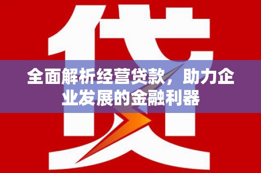 广灵全面解析经营贷款，助力企业发展的金融利器