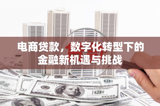 大社电商贷款，数字化转型下的金融新机遇与挑战
