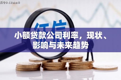 六合小额贷款公司利率，现状、影响与未来趋势