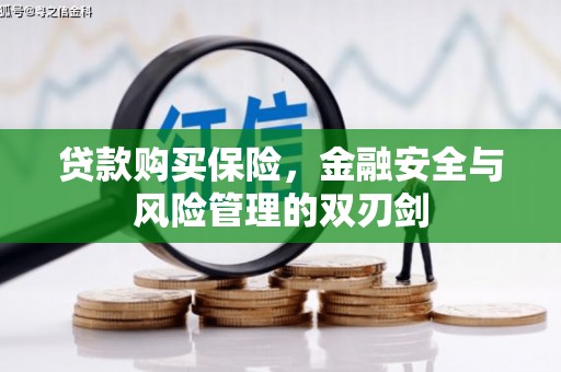 佳冬贷款购买保险，金融安全与风险管理的双刃剑