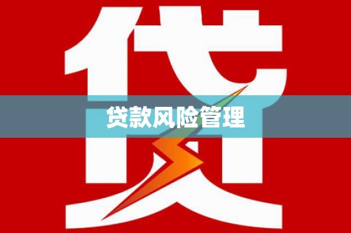 雨城贷款风险管理