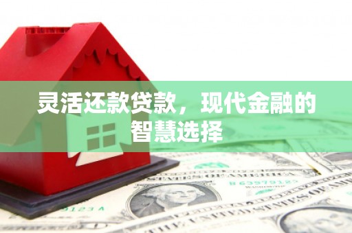 贞丰灵活还款贷款，现代金融的智慧选择