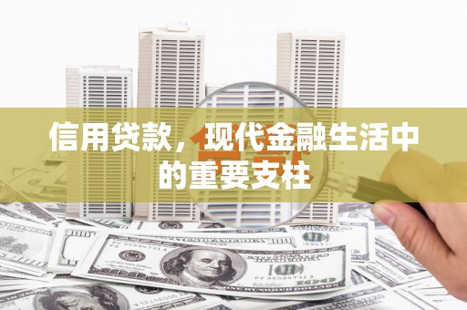阜宁信用贷款，现代金融生活中的重要支柱