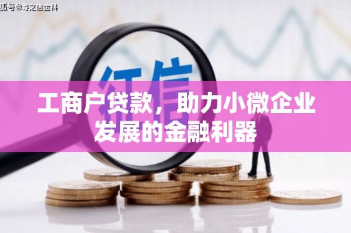 从化工商户贷款，助力小微企业发展的金融利器