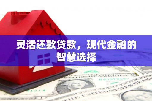 光泽灵活还款贷款，现代金融的智慧选择