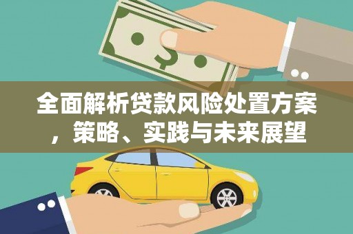 普湾新区全面解析贷款风险处置方案，策略、实践与未来展望
