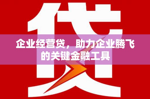钢城企业经营贷，助力企业腾飞的关键金融工具