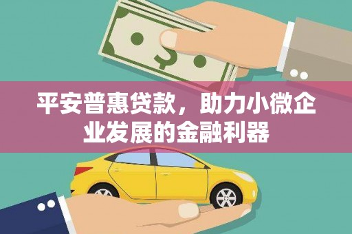 容县平安普惠贷款，助力小微企业发展的金融利器