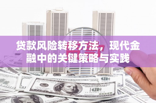 碑林贷款风险转移方法，现代金融中的关键策略与实践