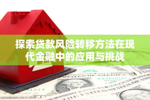 贞丰探索贷款风险转移方法在现代金融中的应用与挑战