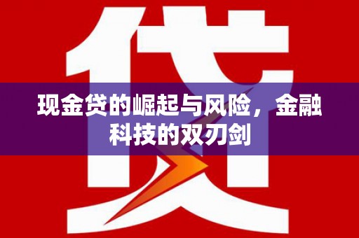 陇川现金贷的崛起与风险，金融科技的双刃剑