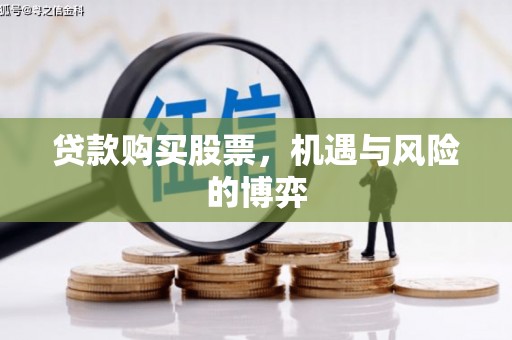 鹿野贷款购买股票，机遇与风险的博弈