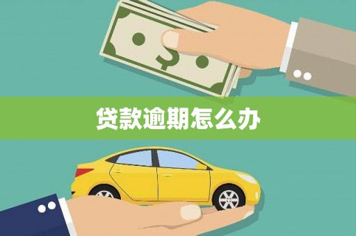 仙游贷款逾期怎么办
