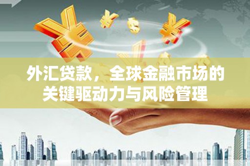 罗定外汇贷款，全球金融市场的关键驱动力与风险管理