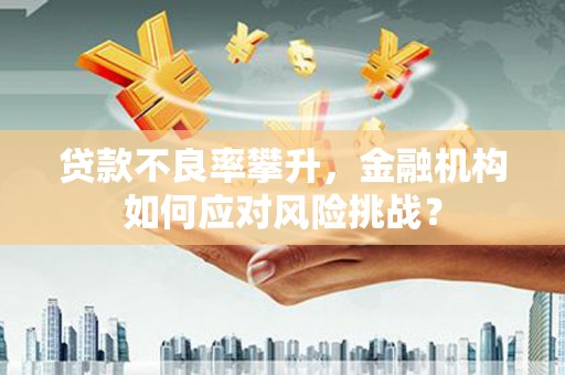 临漳贷款不良率攀升，金融机构如何应对风险挑战？