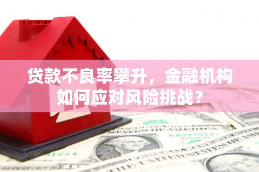 商南贷款不良率攀升，金融机构如何应对风险挑战？