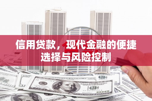 海原信用贷款，现代金融的便捷选择与风险控制