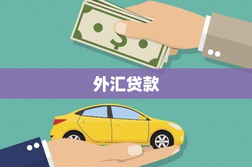 莱西外汇贷款