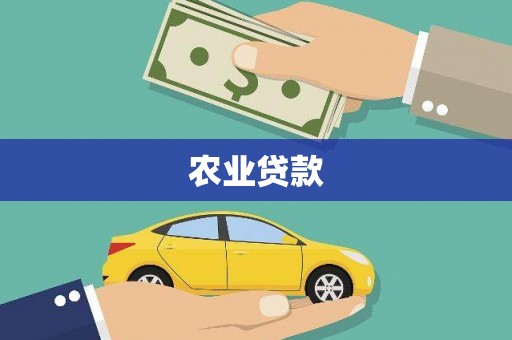 龙陵农业贷款