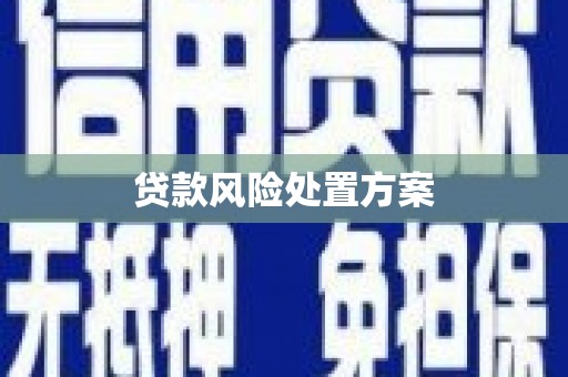 乳源贷款风险处置方案