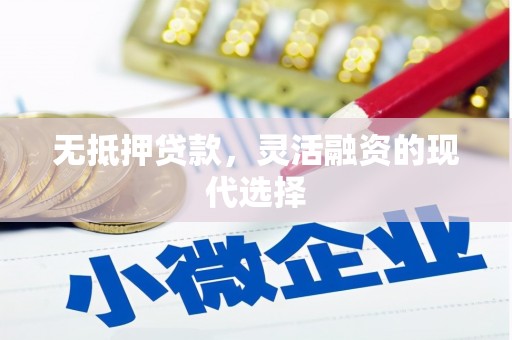 漯河无抵押贷款，灵活融资的现代选择
