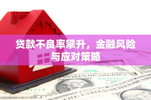新都贷款不良率攀升，金融风险与应对策略