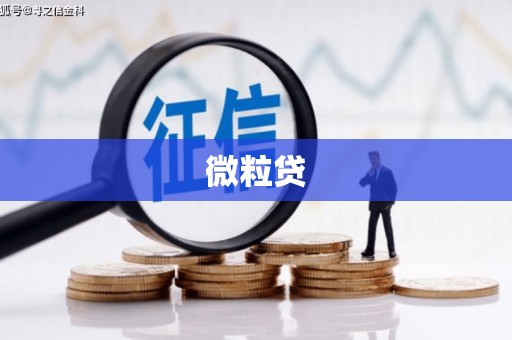 大社微粒贷