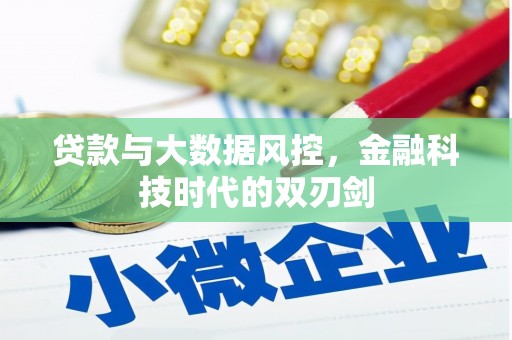 咸宁贷款与大数据风控，金融科技时代的双刃剑