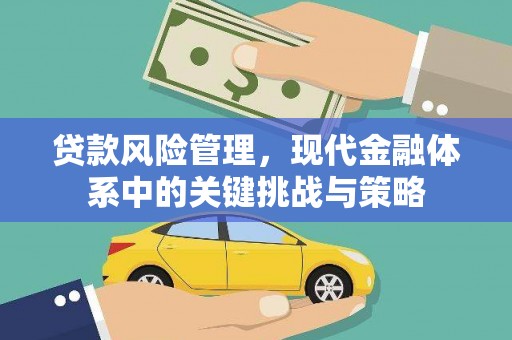 罗定贷款风险管理，现代金融体系中的关键挑战与策略