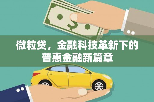 民勤微粒贷，金融科技革新下的普惠金融新篇章