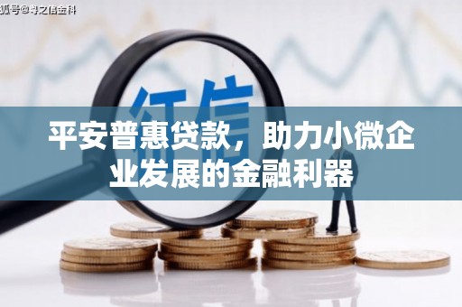 广水平安普惠贷款，助力小微企业发展的金融利器