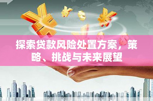 松滋探索贷款风险处置方案，策略、挑战与未来展望