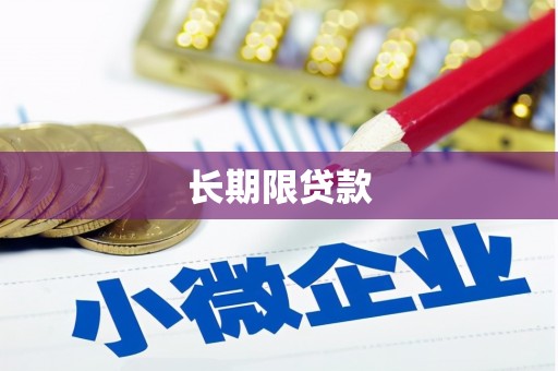 台东长期限贷款