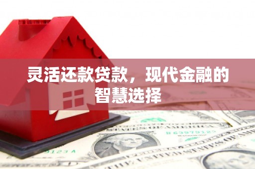 溆浦灵活还款贷款，现代金融的智慧选择