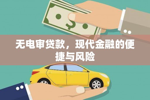 平顶山无电审贷款，现代金融的便捷与风险