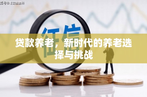 金阳贷款养老，新时代的养老选择与挑战
