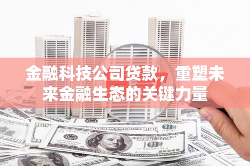 苏尼特左旗金融科技公司贷款，重塑未来金融生态的关键力量