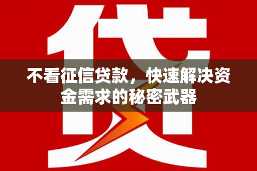田中不看征信贷款，快速解决资金需求的秘密武器