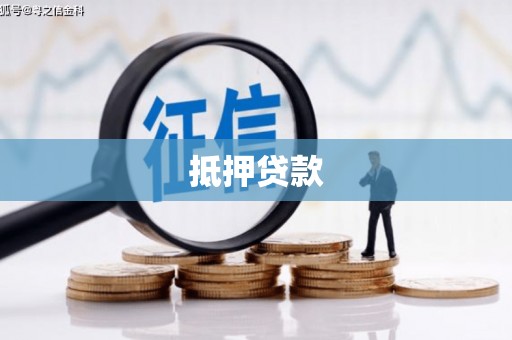 新龙抵押贷款