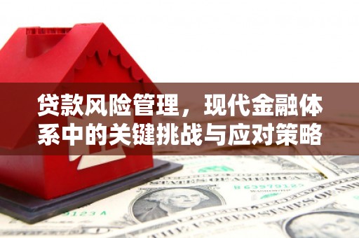 旺苍贷款风险管理，现代金融体系中的关键挑战与应对策略
