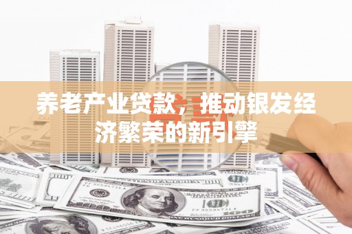 海港养老产业贷款，推动银发经济繁荣的新引擎
