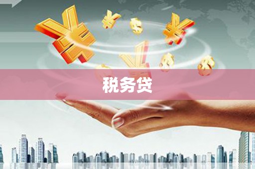 鄂托克前旗税务贷