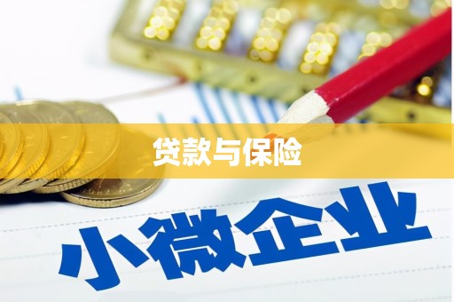 观音贷款与保险