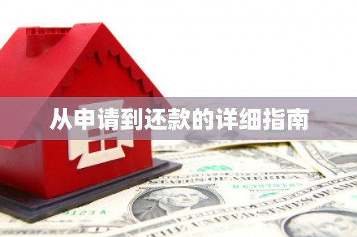 中站从申请到还款的详细指南