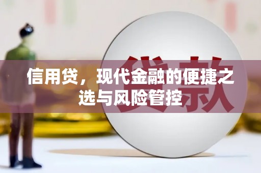 大丰信用贷，现代金融的便捷之选与风险管控