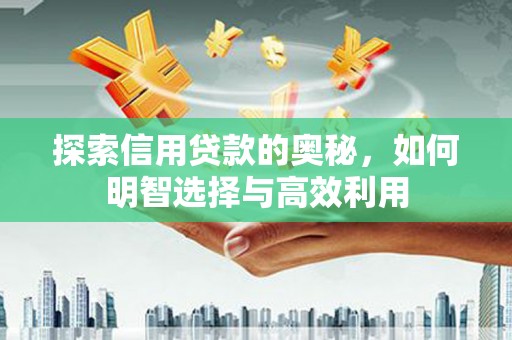 洞头探索信用贷款的奥秘，如何明智选择与高效利用